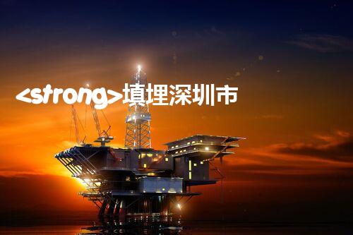 <strong>填埋深圳市危險(xiǎn)廢物處理站有限公司化工設(shè)施安全解體：如何高效處理復(fù)雜工業(yè)遺留問題？</strong>